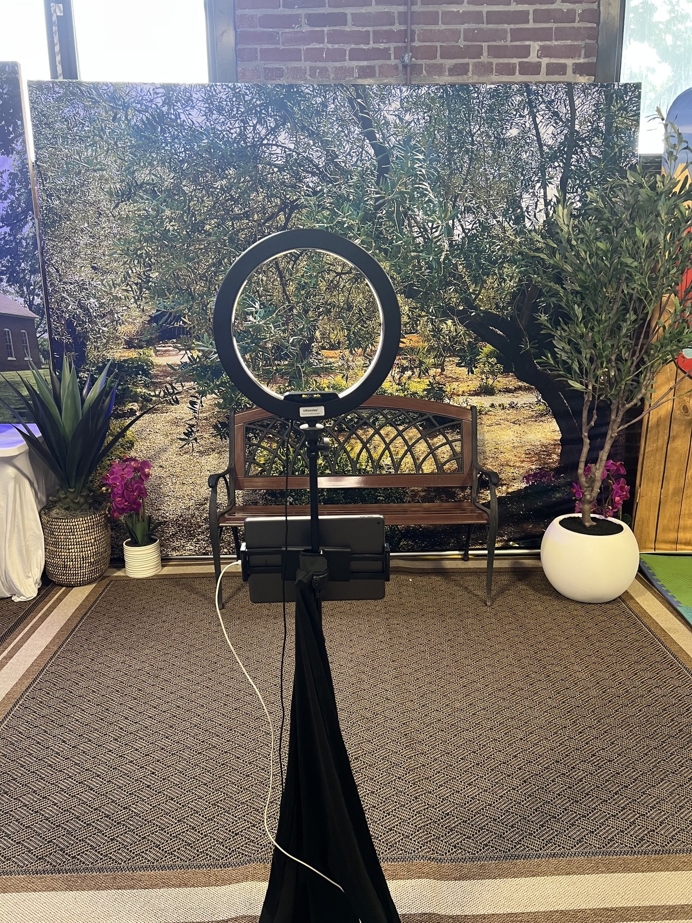 Photo booth kiosk facing the olive grove backdrop and bench
